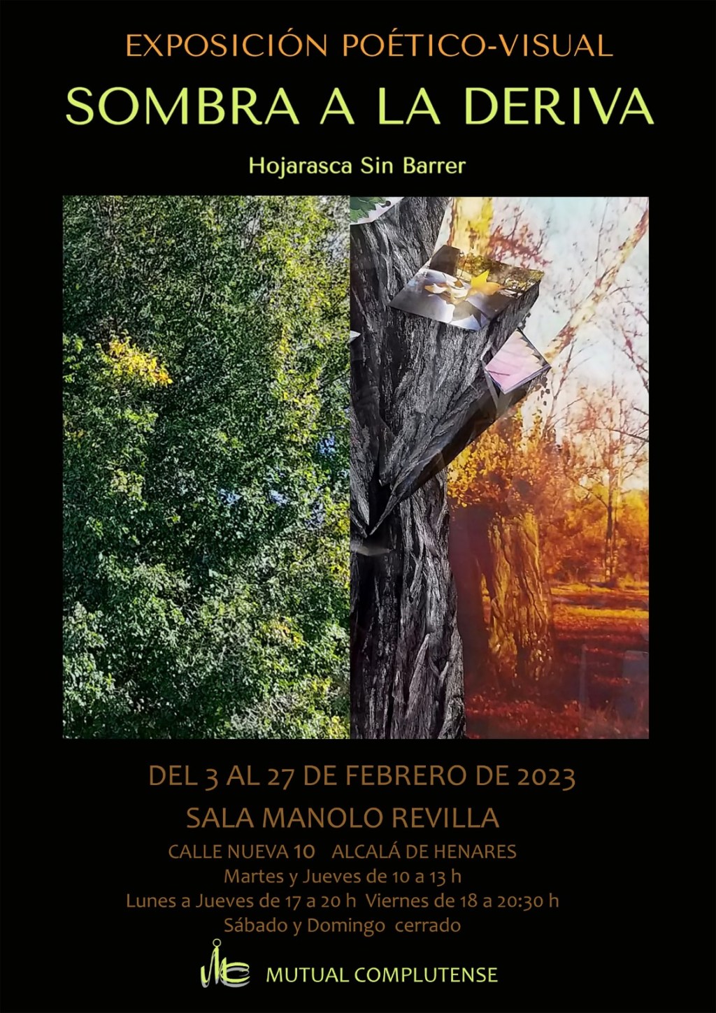 Exposición «Sombra a la deriva» de Hojarasca sin Barrer